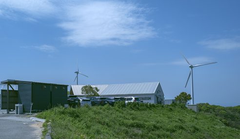 空飛ぶいちご!?が大注目。淡路島に出来たいちごファームレストラン